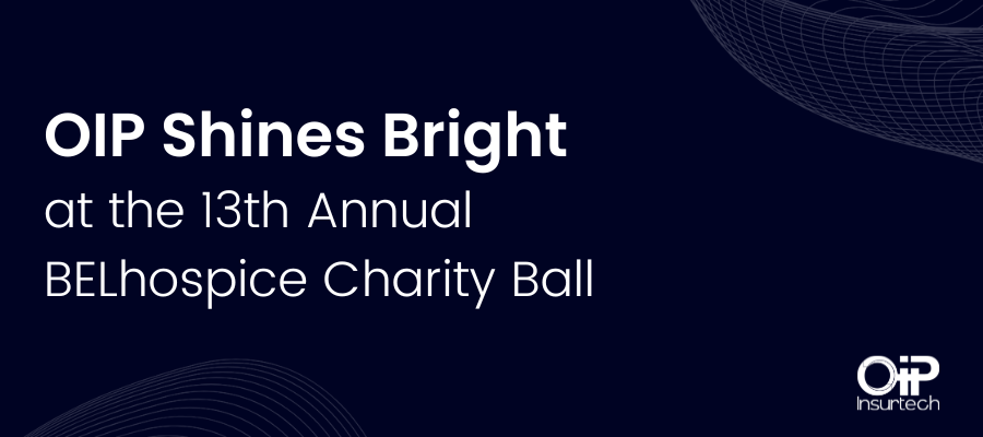 at the 13th Annual BELhospice Charity Ball